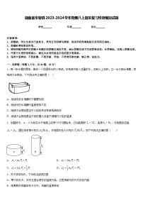 湖南省华容县2023-2024学年物理八上期末复习检测模拟试题含答案