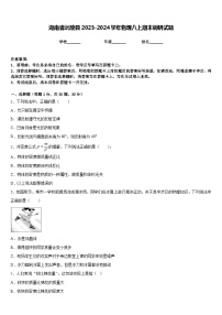 湖南省沅陵县2023-2024学年物理八上期末调研试题含答案