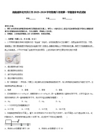 湖南省怀化市洪江市2023-2024学年物理八年级第一学期期末考试试题含答案