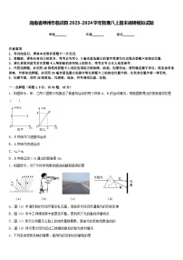 湖南省郴州市临武县2023-2024学年物理八上期末调研模拟试题含答案