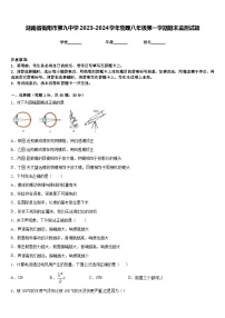 湖南省衡阳市第九中学2023-2024学年物理八年级第一学期期末监测试题含答案