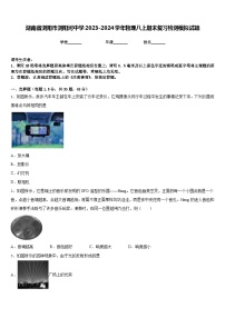 湖南省浏阳市浏阳河中学2023-2024学年物理八上期末复习检测模拟试题含答案