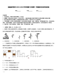 湖南省邵阳市2023-2024学年物理八年级第一学期期末质量检测试题含答案