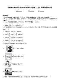 湖南省邵阳市北塔区2023-2024学年物理八上期末达标检测模拟试题含答案