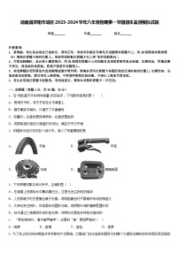 湖南省邵阳市城区2023-2024学年八年级物理第一学期期末监测模拟试题含答案