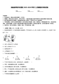 湖南省邵阳市双清区2023-2024学年八上物理期末预测试题含答案