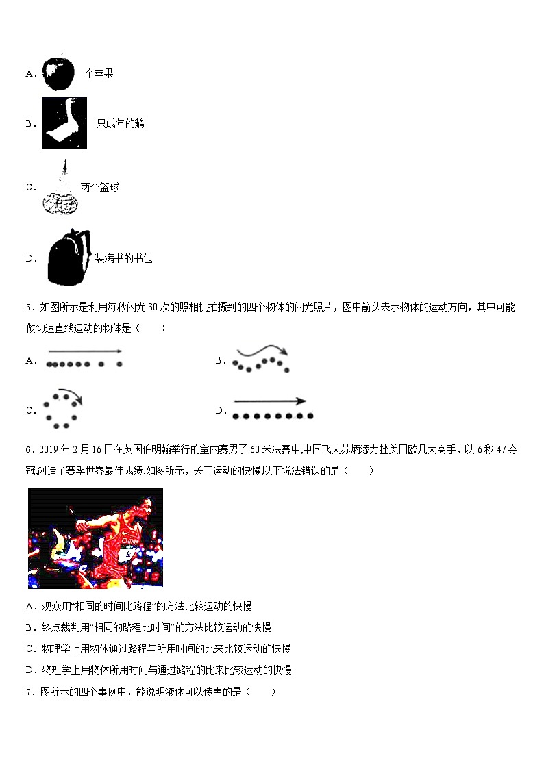 湖南省邵阳市双清区2023-2024学年八上物理期末预测试题含答案第2页