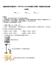 湖南省邵阳市双清区第十一中学2023-2024学年物理八年级第一学期期末质量检测模拟试题含答案