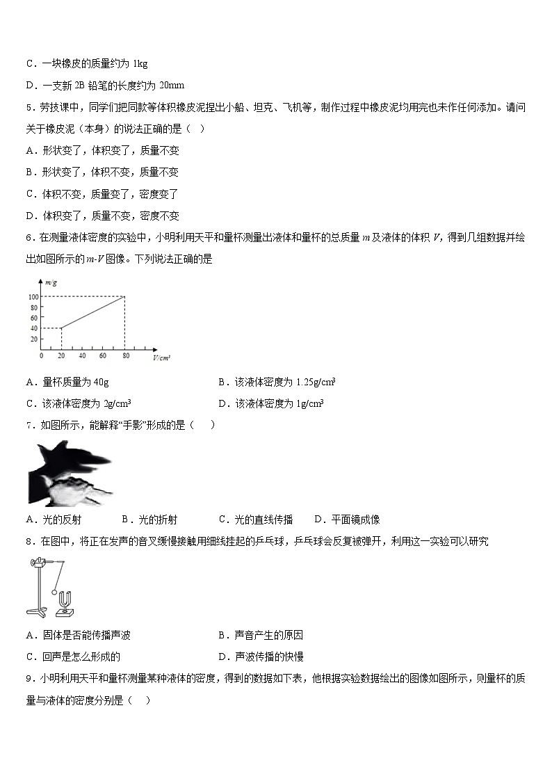 湖南省邵阳市新宁县2023-2024学年八上物理期末联考模拟试题含答案第2页