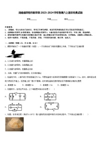 湖南省邵阳市新邵县2023-2024学年物理八上期末经典试题含答案