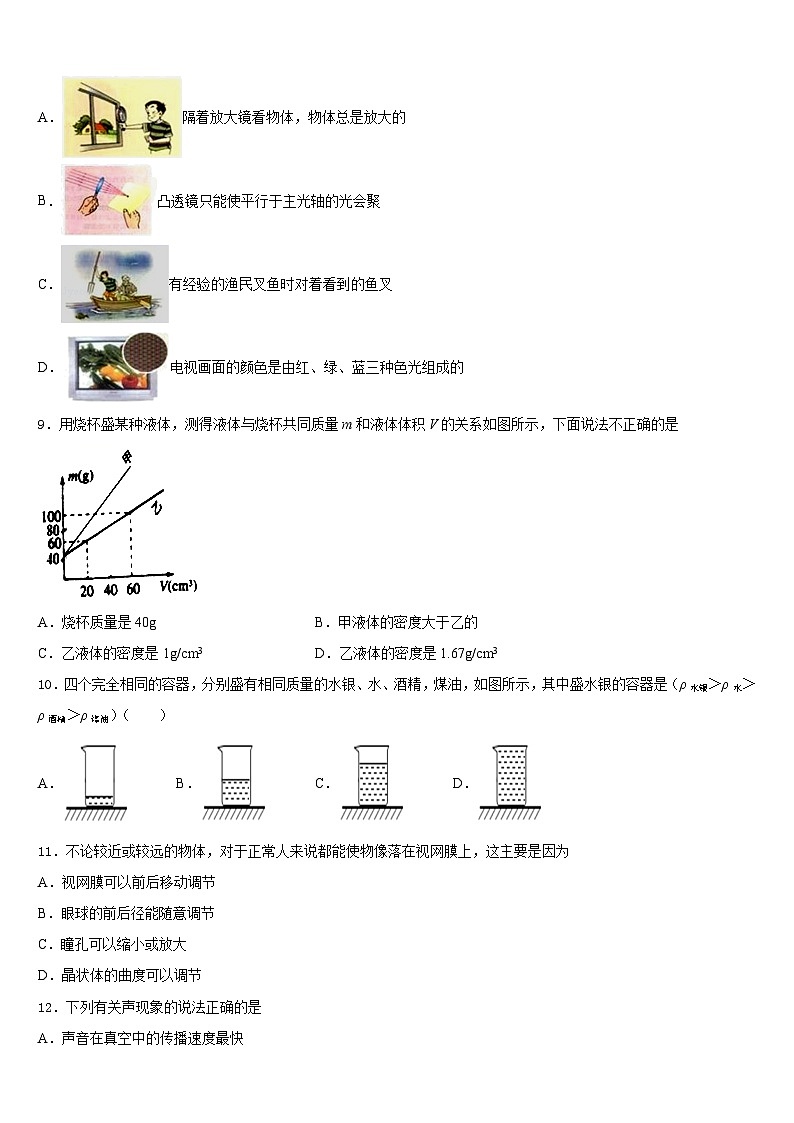湖南省邵阳市新邵县2023-2024学年物理八上期末经典试题含答案第3页
