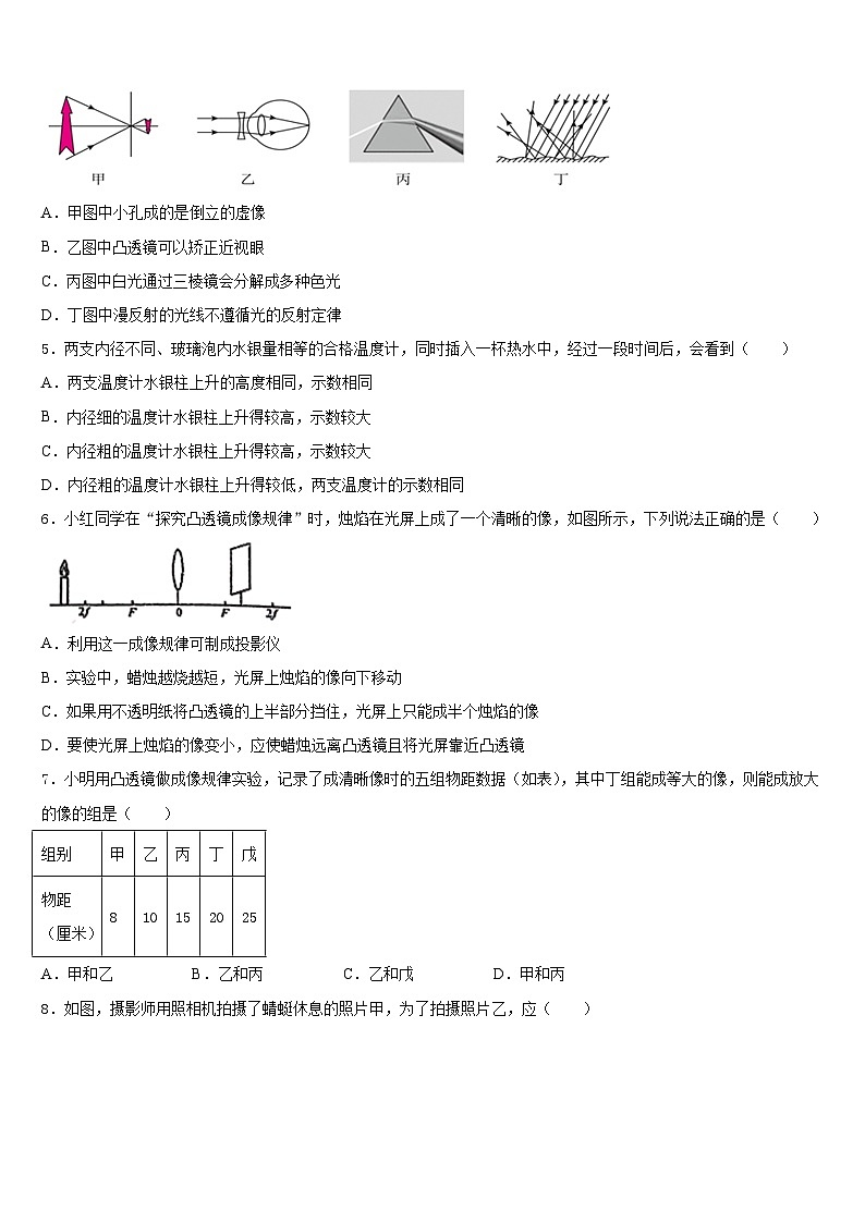 湖南省湘西土家族苗族自治州凤凰县2023-2024学年物理八年级第一学期期末联考模拟试题含答案02