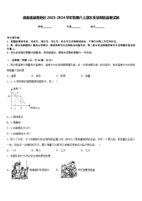 湖南省益阳地区2023-2024学年物理八上期末质量跟踪监视试题含答案