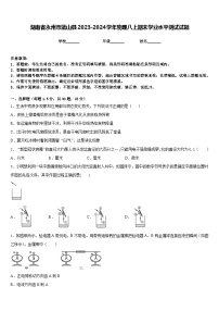 湖南省永州市蓝山县2023-2024学年物理八上期末学业水平测试试题含答案