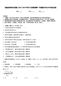 湖南省邵阳市双清区2023-2024学年八年级物理第一学期期末学业水平测试试题含答案