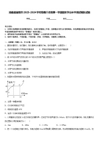 湖南省益阳市2023-2024学年物理八年级第一学期期末学业水平测试模拟试题含答案