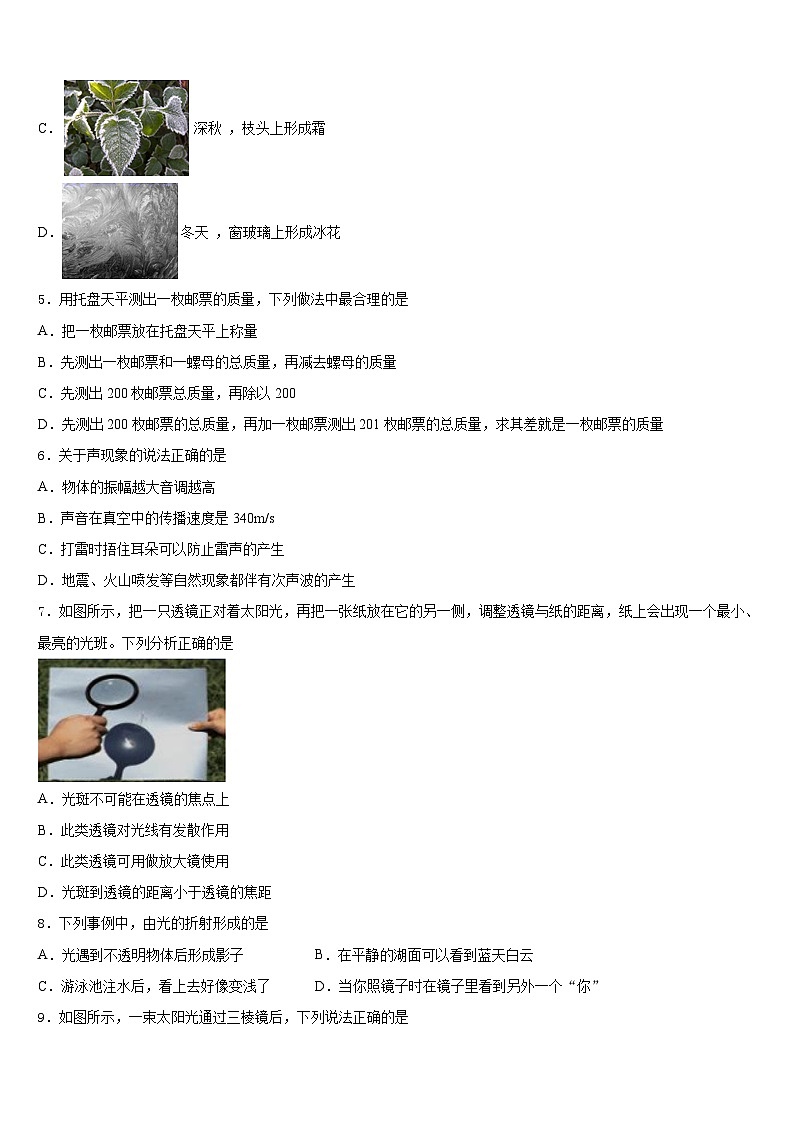 湖南省益阳市赫山区2023-2024学年八年级物理第一学期期末调研模拟试题含答案第2页