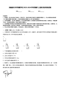 湖南省长沙市怡雅学校2023-2024学年物理八上期末质量检测试题含答案