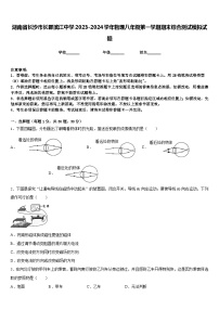 湖南省长沙市长郡滨江中学2023-2024学年物理八年级第一学期期末综合测试模拟试题含答案