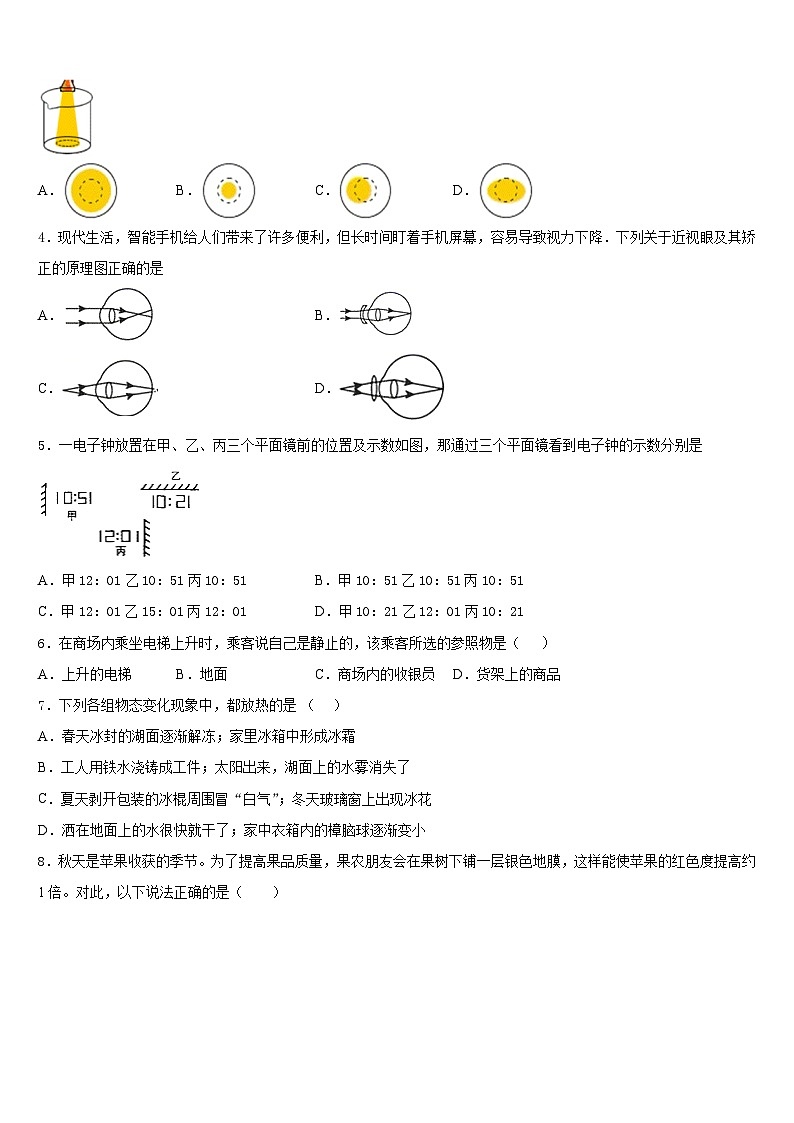 湖南省长沙市湘一立信实验学校2023-2024学年八年级物理第一学期期末考试模拟试题含答案02
