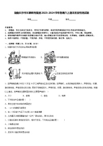 湖南长沙市长郡教育集团2023-2024学年物理八上期末质量检测试题含答案