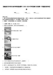 湖南省长沙市师大附中教育集团第十2023-2024学年物理八年级第一学期期末联考试题含答案