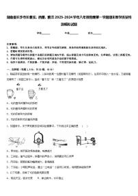 湖南省长沙市长雅实、西雅、雅洋2023-2024学年八年级物理第一学期期末教学质量检测模拟试题含答案