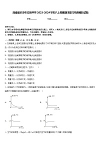 湖南省长沙市实验中学2023-2024学年八上物理期末复习检测模拟试题含答案