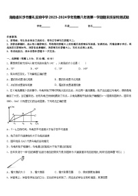 湖南省长沙市雅礼实验中学2023-2024学年物理八年级第一学期期末质量检测试题含答案