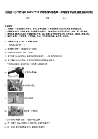 湖南省长沙市教科所2023-2024学年物理八年级第一学期期末学业质量监测模拟试题含答案