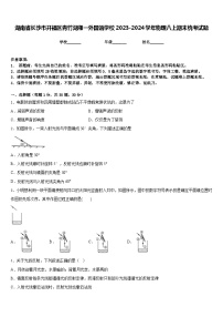 湖南省长沙市开福区青竹湖湘一外国语学校2023-2024学年物理八上期末统考试题含答案