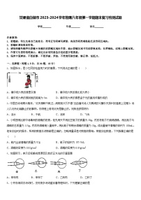 甘肃省白银市2023-2024学年物理八年级第一学期期末复习检测试题含答案