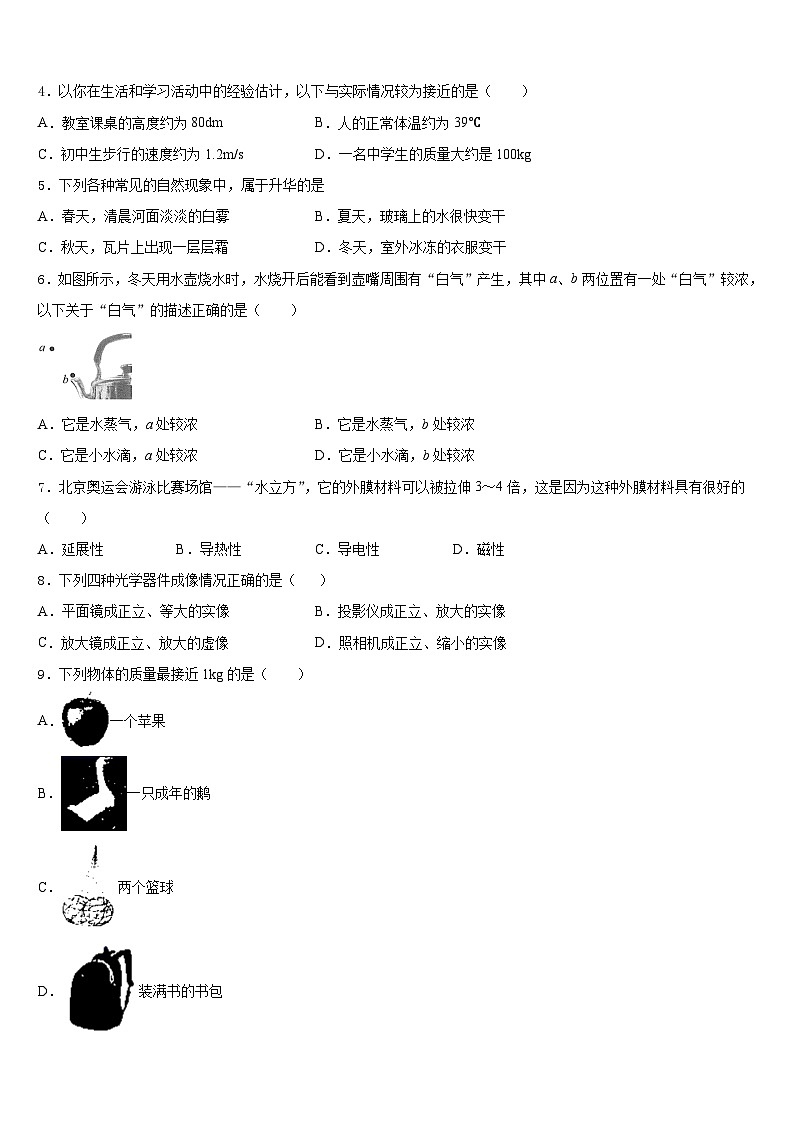 甘肃省庆阳宁县联考2023-2024学年物理八年级第一学期期末教学质量检测模拟试题含答案第2页