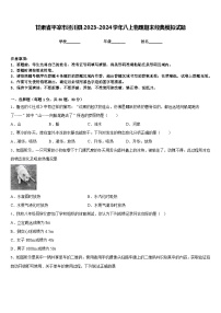 甘肃省平凉市泾川县2023-2024学年八上物理期末经典模拟试题含答案