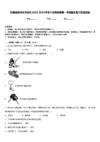 甘肃省嘉峪关市名校2023-2024学年八年级物理第一学期期末复习检测试题含答案