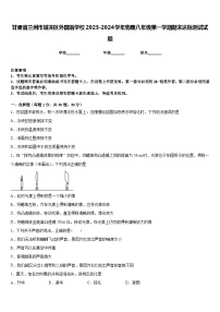 甘肃省兰州市城关区外国语学校2023-2024学年物理八年级第一学期期末达标测试试题含答案