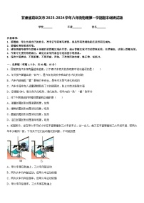 甘肃省嘉峪关市2023-2024学年八年级物理第一学期期末调研试题含答案