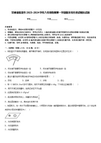 甘肃省临夏市2023-2024学年八年级物理第一学期期末综合测试模拟试题含答案