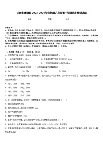 甘肃省渭源县2023-2024学年物理八年级第一学期期末预测试题含答案