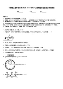 甘肃省庆阳市合水县2023-2024学年八上物理期末综合测试模拟试题含答案