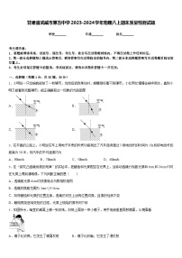 甘肃省武威市第五中学2023-2024学年物理八上期末质量检测试题含答案