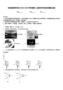 甘肃省张掖市名校2023-2024学年物理八上期末教学质量检测模拟试题含答案