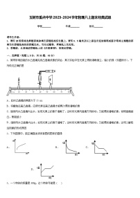 玉树市重点中学2023-2024学年物理八上期末经典试题含答案