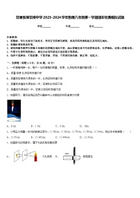 甘肃张掖甘州中学2023-2024学年物理八年级第一学期期末经典模拟试题含答案