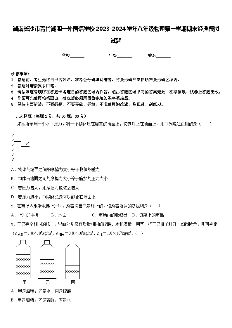 湖南长沙市青竹湖湘一外国语学校2023-2024学年八年级物理第一学期期末经典模拟试题含答案第1页