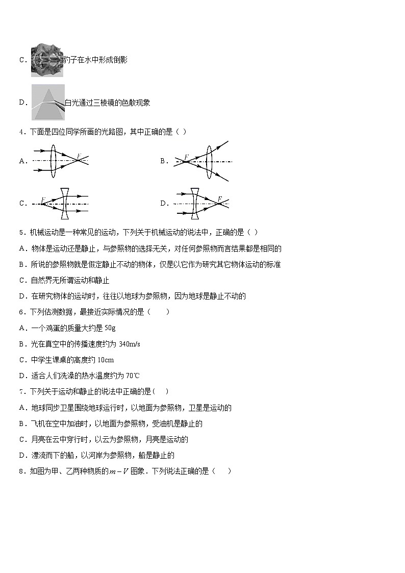 湖南长沙长郡教育集团2023-2024学年物理八年级第一学期期末考试模拟试题含答案02