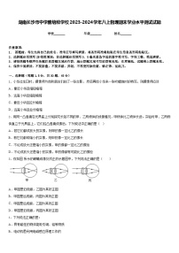 湖南长沙市中学雅培粹学校2023-2024学年八上物理期末学业水平测试试题含答案