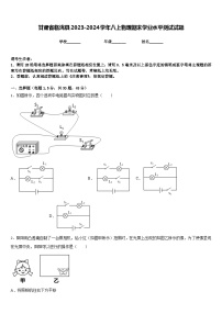 甘肃省临洮县2023-2024学年八上物理期末学业水平测试试题含答案