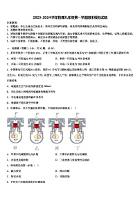 2023-2024学年物理九年级第一学期期末模拟试卷