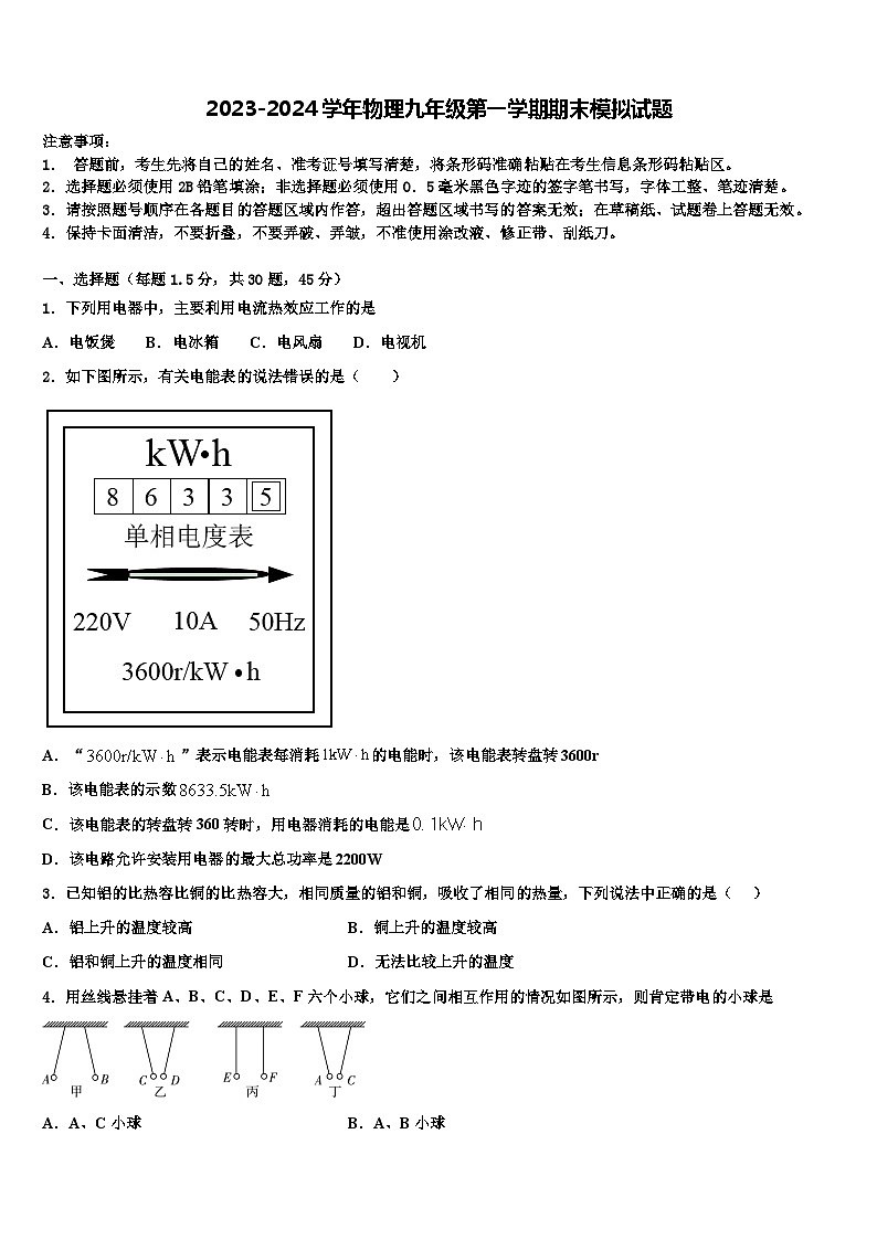 2023-2024学年物理九年级第一学期期末模拟试题第1页